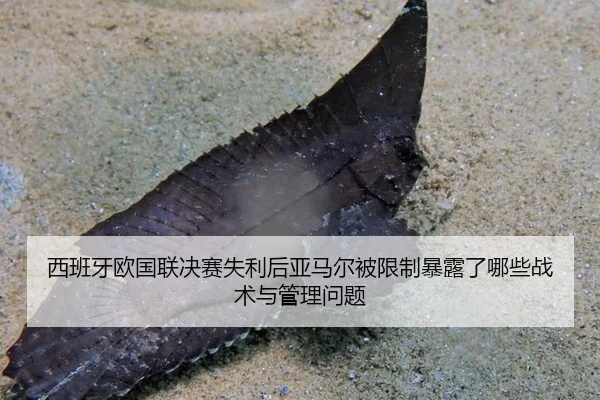 xi-ban-ya-ou-guo-lian-jue-sai-shi-li-hou-ya-ma-er-bei-xian-zhi-bao-lu-le-na-xie-zhan-shu-yu-guan-li-wen-ti-2-564.jpg