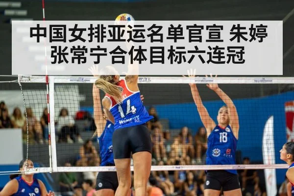 volleyball match action