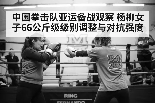 中国拳击队亚运备战观察 杨柳女子66公斤级级别调整与对抗强度